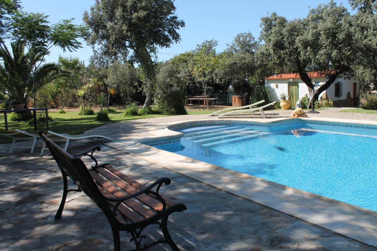 Casa Rural La Coscoja Mérida Dış mekan fotoğraf