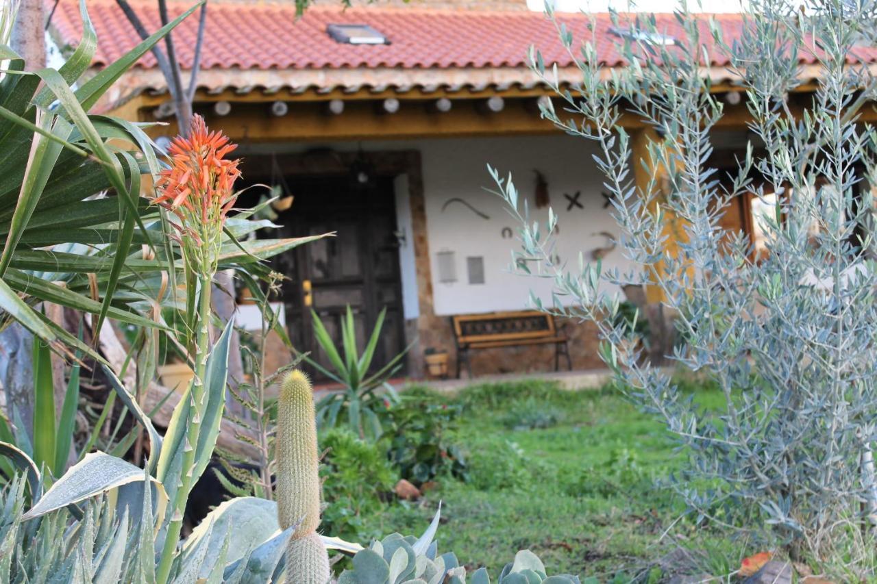 Casa Rural La Coscoja Mérida Dış mekan fotoğraf