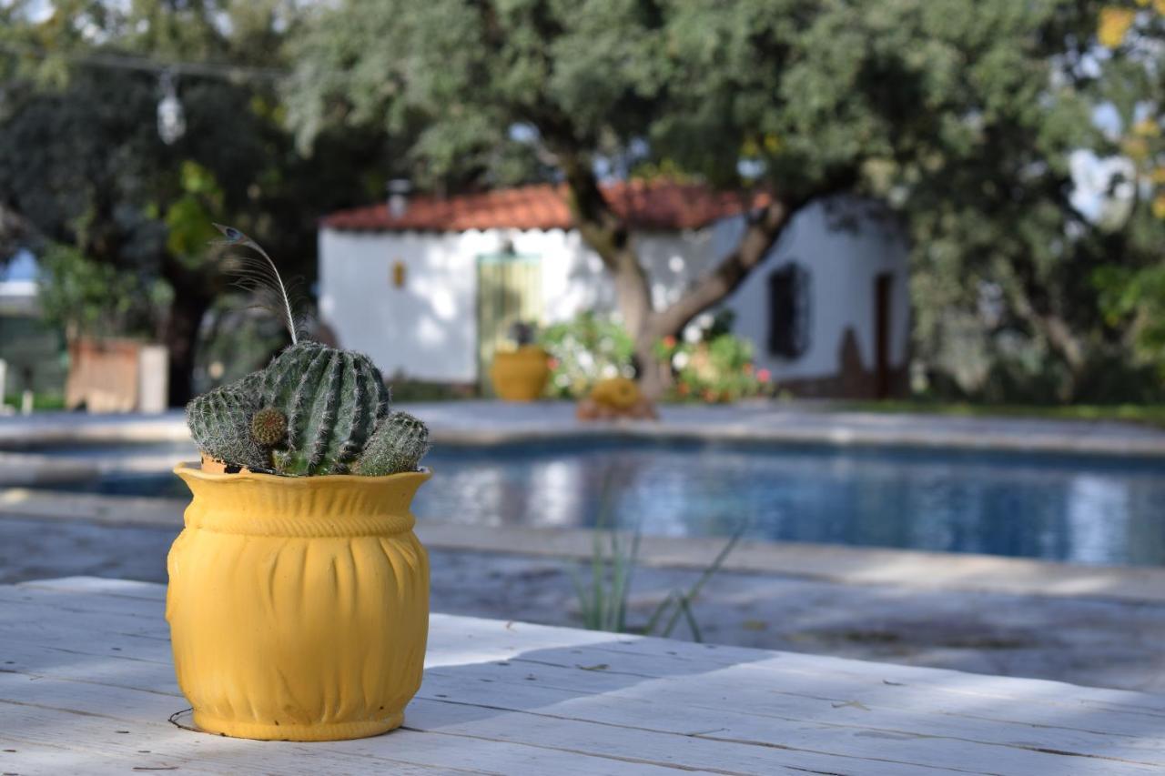 Casa Rural La Coscoja Mérida Dış mekan fotoğraf