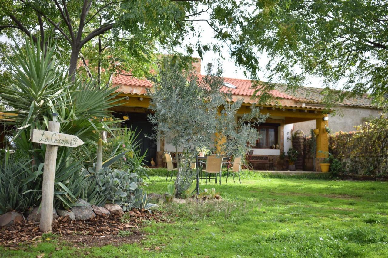 Casa Rural La Coscoja Mérida Dış mekan fotoğraf